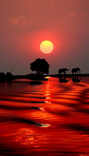 Photo:  African Safari!